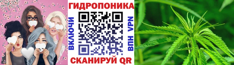 Марихуана THC 21%  магазин продажи наркотиков  Ленинградская 